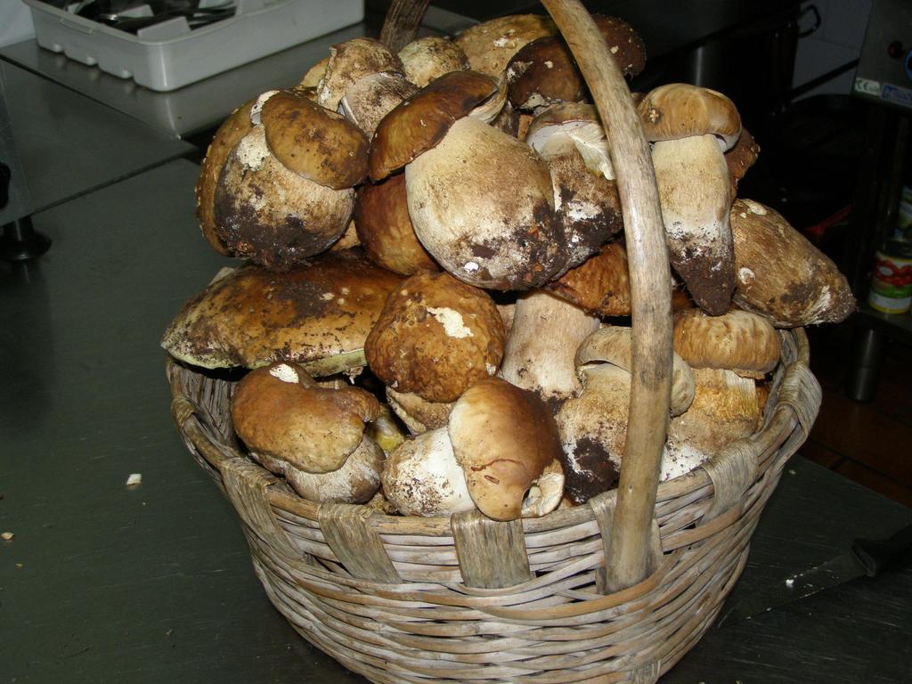 B&B Le Grazie Piaggine Kültér fotó