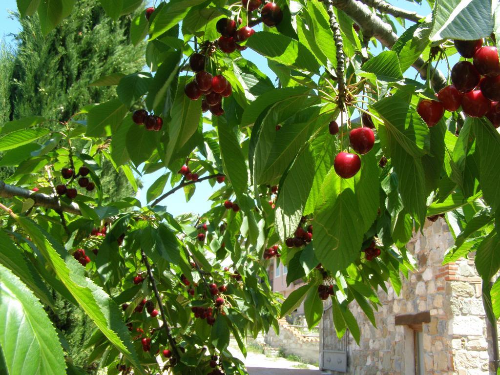 B&B Le Grazie Piaggine Kültér fotó