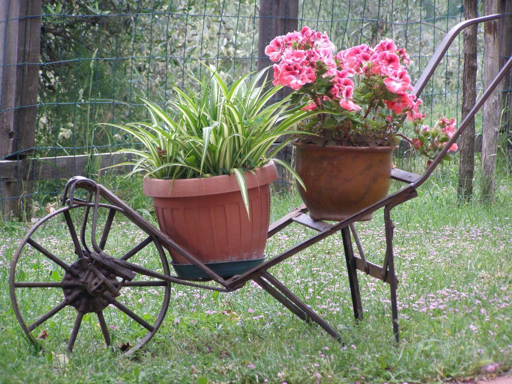 B&B Le Grazie Piaggine Kültér fotó