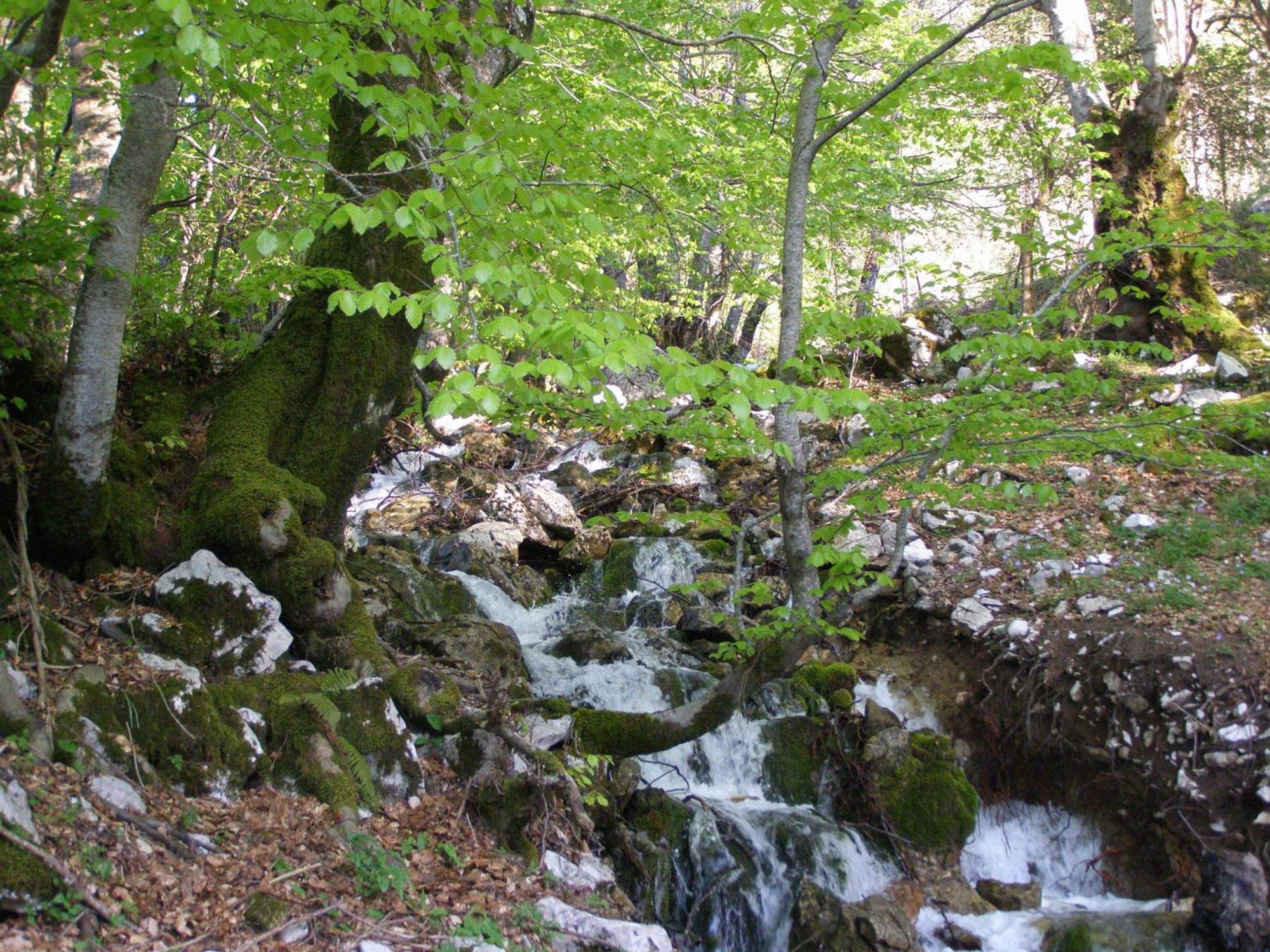 B&B Le Grazie Piaggine Kültér fotó