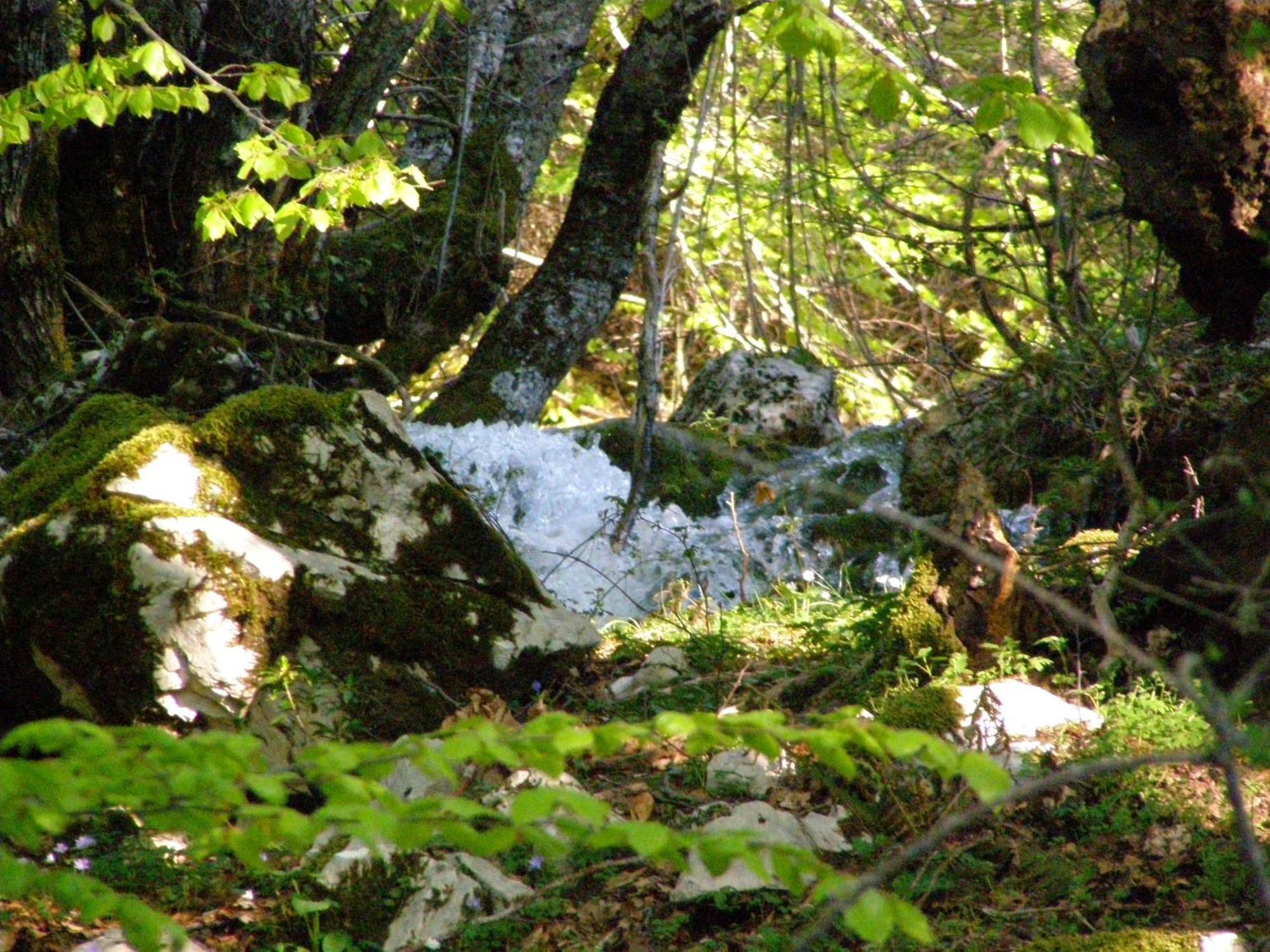 B&B Le Grazie Piaggine Kültér fotó