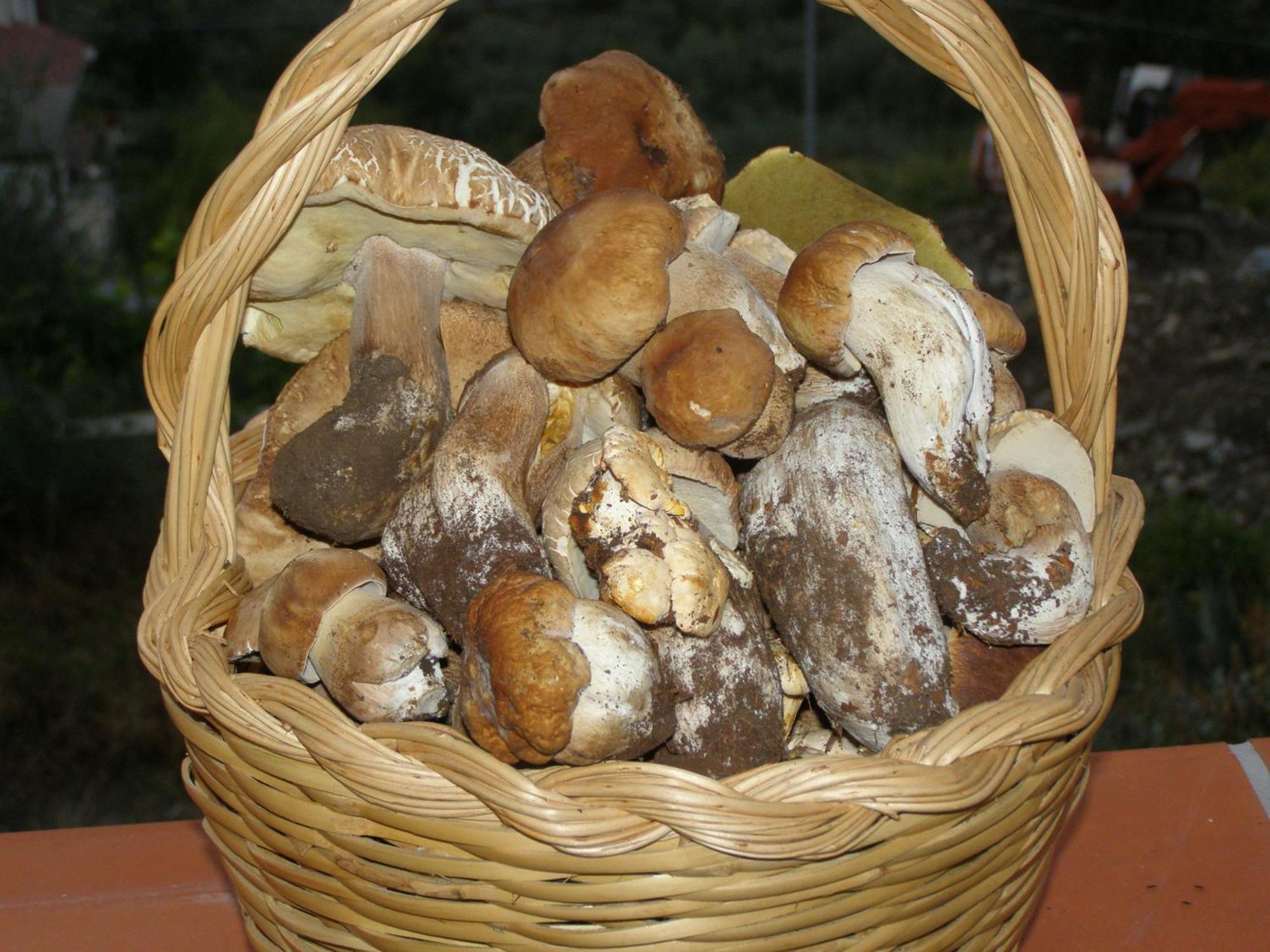 B&B Le Grazie Piaggine Kültér fotó